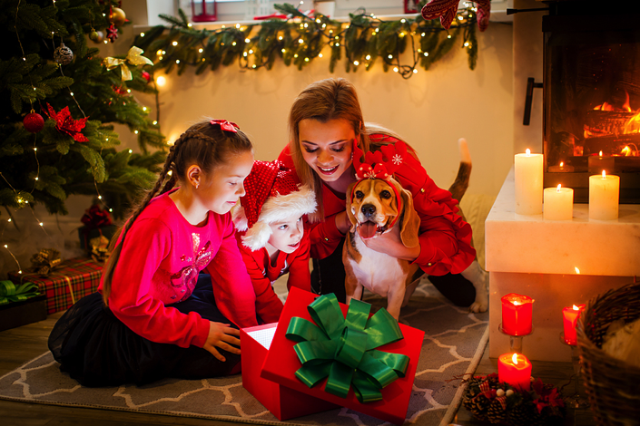 Family at Christmas with beagle