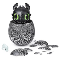 Hatching Toothless Dragon